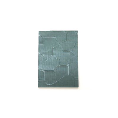 Masterlite/Ancient Figure/Aqualite/Chinhilla Glass3-10mm Vetro a modello/Vitro a figura